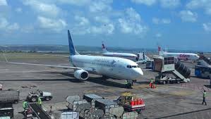 Petugas Bandara Gagalkan Pengiriman Buaya dan Biawak